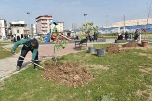 Bornova Belediyesi, il&ccedil;edeki park ve yeşil alanları bahara hazırlıyor. 5