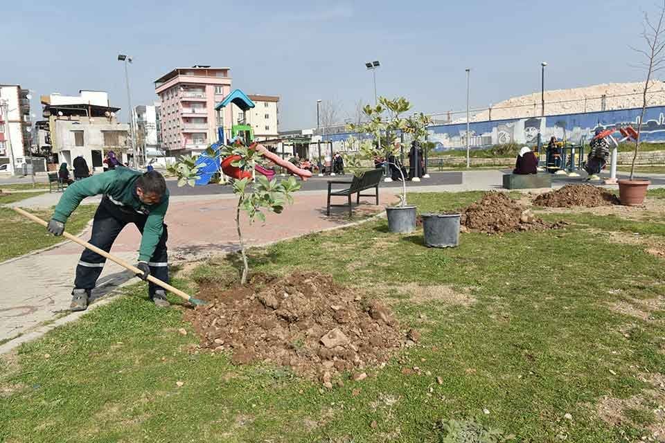 Bornova Belediyesi, il&ccedil;edeki park ve yeşil alanları bahara hazırlıyor. 5