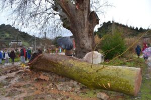 Manisa'nın Salihli il&ccedil;esinde, etkili olan sağanak ve fırtına hayatı olumsuz