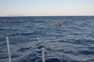 İzmir'in Fo&ccedil;a il&ccedil;esinde, Yunanistan unsurlarınca T&uuml;rk kara sularına bırakılan 74