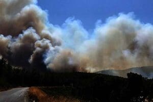 İzmir'in Fo&ccedil;a il&ccedil;esinde ormanda yangın &ccedil;ıktı. Yangın, ekiplerin m&uuml;dahalesiyle kontrol