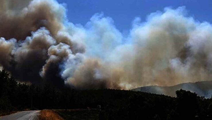 Korkutan orman yangını! Çalışmalar sürüyor