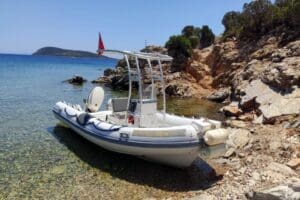 MUĞLA'da, Akdeniz fokları ve kum k&ouml;pek balıkları başta olmak &uuml;zere