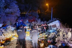 MUĞLA'nın Seydikemer ilçesinde, freni boşalan meyve yüklü kamyonun şarampole devrildiği