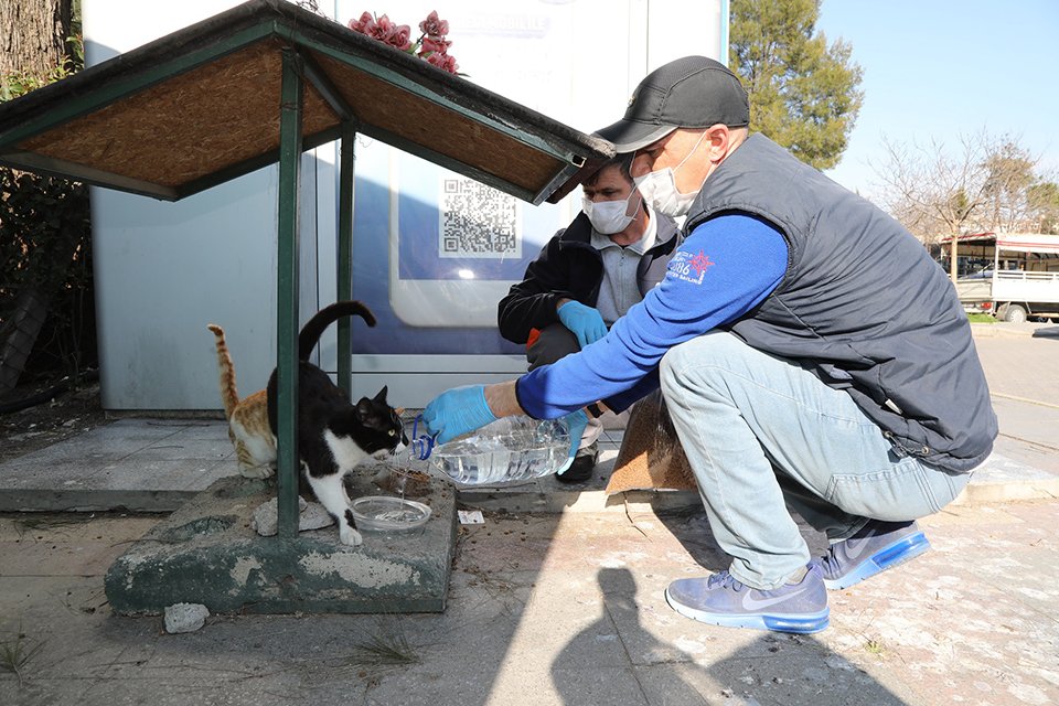 Gaziemir Belediyesi, Nisan 2019’dan bugüne 6 bin 982 hayvanın tedavisini,