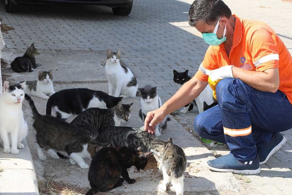 Gaziemir Belediyesi, 2021 yılında 5 bin 304 hayvanın tedavisini, bakımını