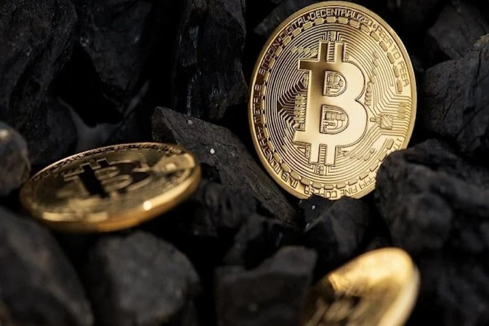 Kripto borsası FTX'in batmasının ardından bir başka şirketin iflası daha