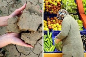 T&uuml;rkiye Ziraat Odaları Birliği (TZOB) Başkanı Şemsi Bayraktar, beklenen yağmur