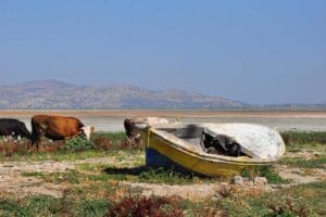 İzmir K&ouml;rfezi'ne akan Gediz Nehri'ndeki kirlilik kaynaklarını tespit eden ve