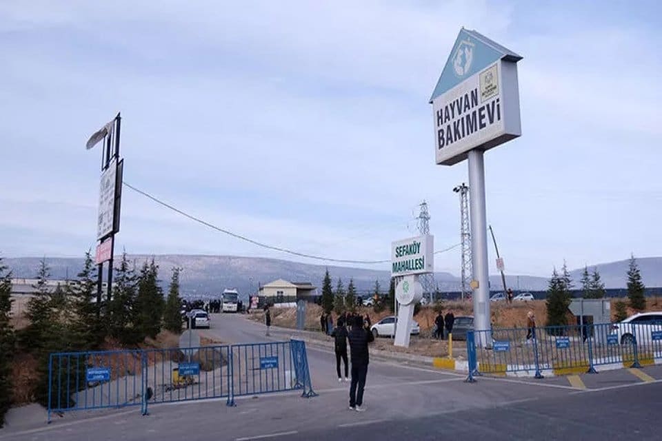 Konya B&uuml;y&uuml;kşehir Belediyesi'ne ait Sahipsiz Hayvan Bakımevi ve Rehabilitasyon Merkezi&rsquo;nde