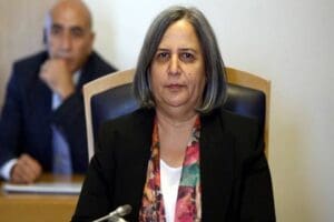 2014 yerel se&ccedil;imlerinde Diyarbakır B&uuml;y&uuml;kşehir Belediye Başkanı se&ccedil;ildikten sonra, "ter&ouml;r