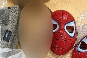 Arjantin'den ABD'ye g&ouml;nderilen bir kutunun i&ccedil;erisinden &ccedil;ıkan &ccedil;ocuk kafası dehşet