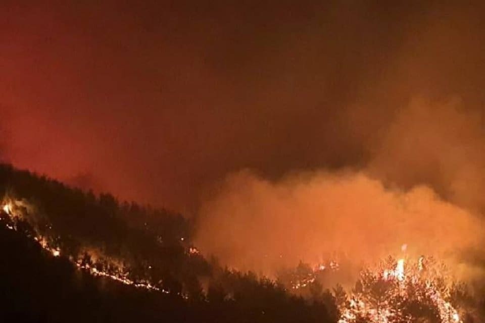 Hatay&rsquo;ın Hassa il&ccedil;elerinde ormanlık alanda &ccedil;ıkan yangına m&uuml;dahale ediliyor Akbez