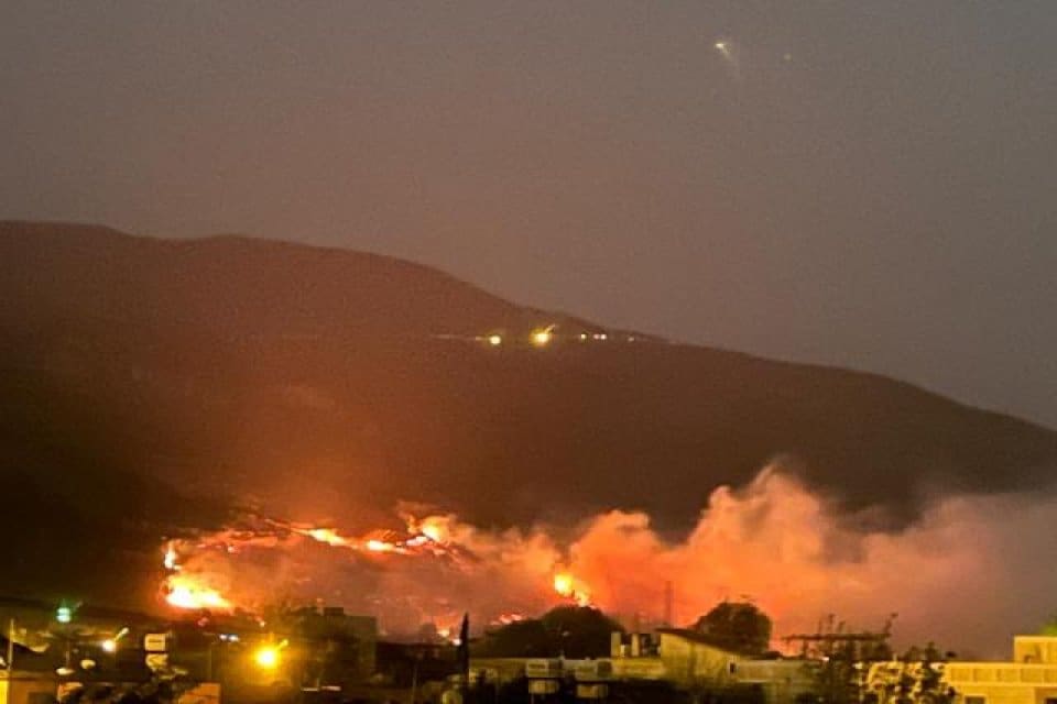 Hatay'ın D&ouml;rtyol il&ccedil;esinde ormanda &ccedil;ıkan yangın, r&uuml;zgarın&nbsp;etkisiyle kısa s&uuml;rede yayıldı.