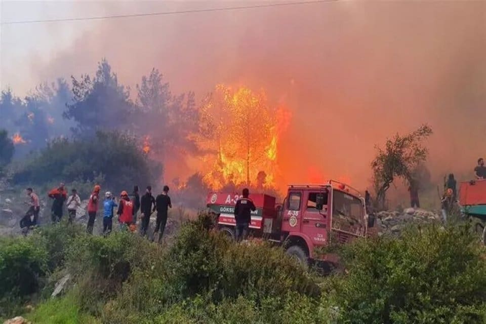 Hatay'ın D&ouml;rtyol il&ccedil;esinde ormanlık alanda &ccedil;ıkan orman yangınında y&uuml;ksek gerilim