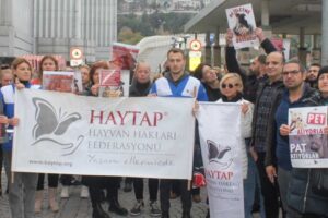 İzmir'de Hayvan Hakları Federasyonu (HAYTAP) ve hayvan hakları odaklı sivil