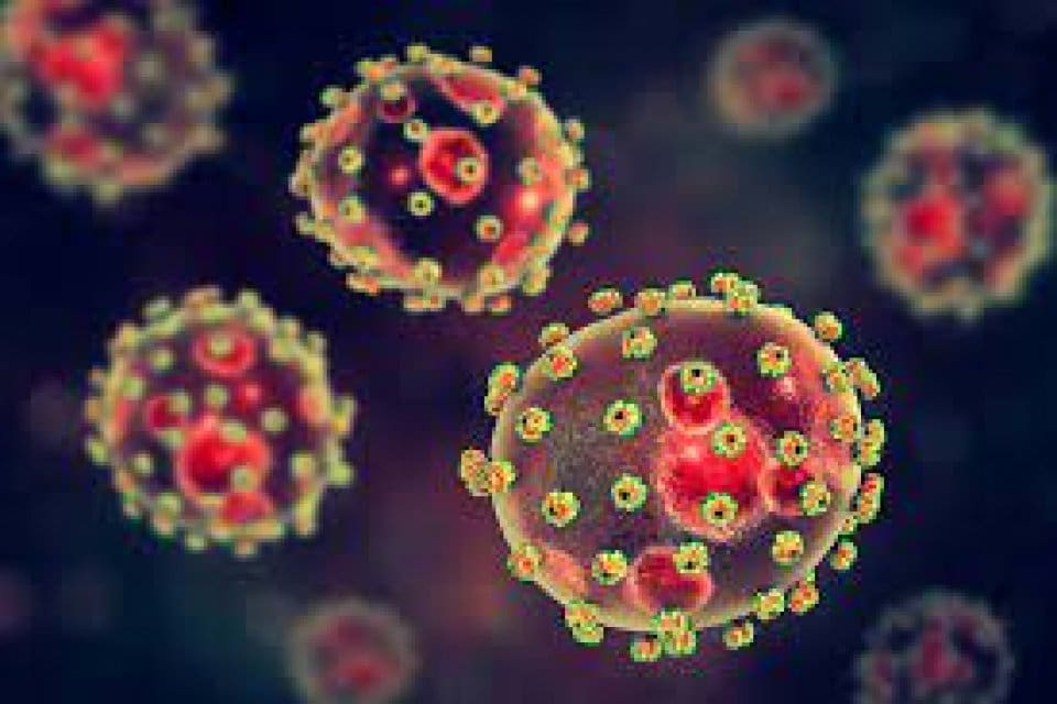 İngiltere'de Lassa ateşi hastalığı nedeniyle 1 kişi hayatını kaybetti. Olayın