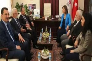 HDP Grup Başkanvekili Saruhan Olu&ccedil;, AK Parti&rsquo;nin baş&ouml;rt&uuml;s&uuml;yle ilgili anayasa
