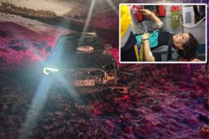 HDP Grup Başkanvekili Meral Danış Beştaş, dün akşam saatlerinde Yeşil