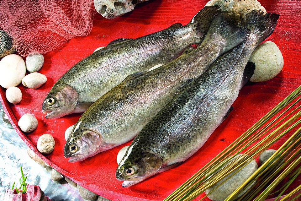 Egeli su ürünleri ihracatçıları, Türkiye’nin 2020 yılında yaptığı 1 milyar