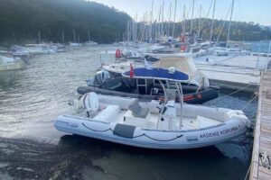 Akdeniz fokları başta olmak üzere kum köpek balıkları gibi canlılarla ilgili çalışmalar yürüten