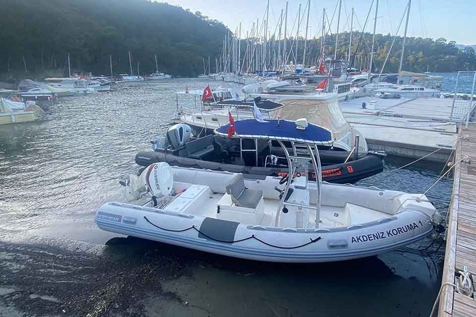 Akdeniz fokları başta olmak üzere kum köpek balıkları gibi canlılarla ilgili çalışmalar yürüten