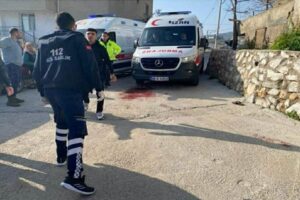 Muğla'da, husumetli 2 aile arasında &ccedil;ıkan kavgada Gelecek Partisi İl&nbsp;Gen&ccedil;lik