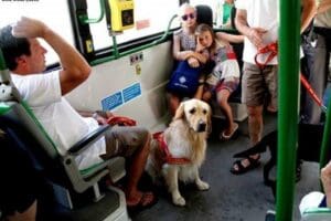 İstanbul B&uuml;y&uuml;kşehir Belediyesi (İBB), 4 Ekim D&uuml;nya Hayvanları Koruma G&uuml;n&uuml;