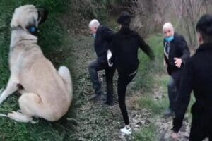 Kocaeli&rsquo;nde iple bağladığı k&ouml;peği ağa&ccedil;ların bulunduğu bir alana g&ouml;t&uuml;rerek eliyle