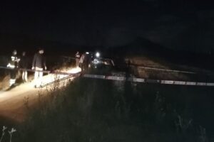 Adana'nın Kozan ilçesinde biri otomobil içerisinde, diğeri boş arazide iki