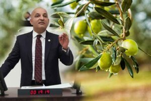 CHP İzmir Milletvekili ve TBMM &Ccedil;evre Komisyonu &Uuml;yesi Mahir Polat,