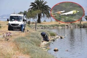 İZMİR'de İnciraltı Sahili'ndeki Çakalburnu Lagünü'nde balık ölümleri yaşandı. Dokuz Eylül