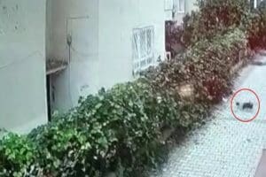 Antalya'nın Alanya il&ccedil;esinde yeni doğan kız bebeği koydukları poşetle 5