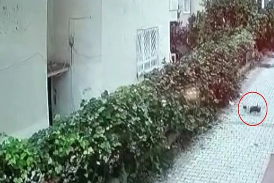 Antalya'nın Alanya il&ccedil;esinde yeni doğan kız bebeği koydukları poşetle 5
