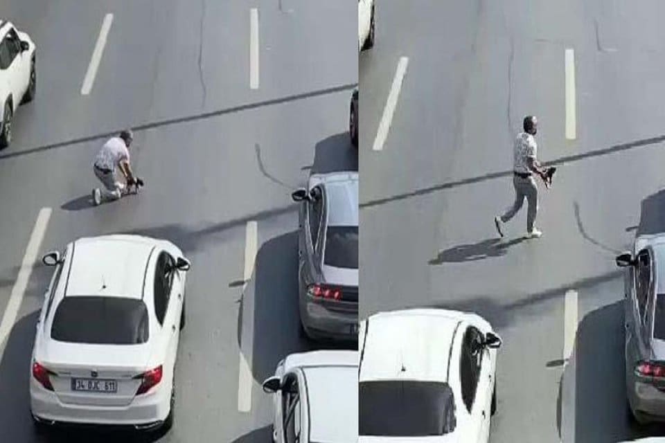 Avcılar D-100 Karayolu'nda aracını durdurup trafiği kesen s&uuml;r&uuml;c&uuml;, yoldaki kediyi