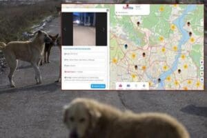 Başıboş k&ouml;peklerin nerede olduğunu&nbsp;&lsquo;g&ouml;steren&rsquo;&nbsp;Havrita isimli uygulamanın bir&ccedil;ok k&ouml;peğin &ouml;l&uuml;m&uuml;ne neden