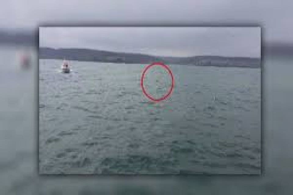 İstanbul&nbsp;Boğazı'nın Karadeniz girişinde yabancı cisim hareketliliği yaşanıyor. Cismin Ukrayna'dan denizde