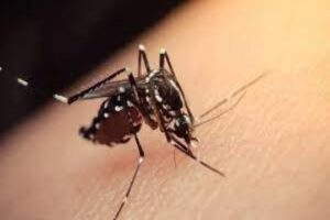 Do&ccedil;. Dr. Kerem &Ouml;ter, İstanbul'un bir&ccedil;ok noktasında son g&uuml;nlerde artan