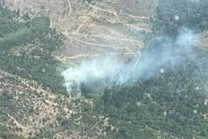 Bayındır'ın kırsal &Ccedil;ınardibi Mahallesi yakınlarındaki ormanda bug&uuml;n saat 13.00 sıralarında