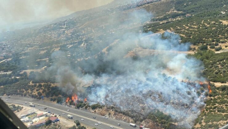 İzmir Bornova'da çıkan makilik yangını kontrol altına alındı