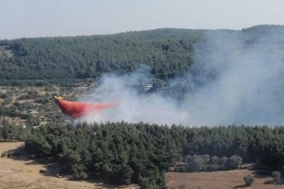 İZMİR'in Buca il&ccedil;esinde, ormanda yangın &ccedil;ıktı. Alevlere karadan ve havadan