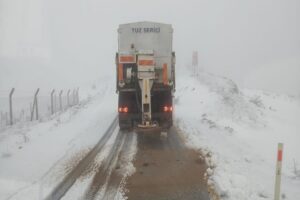 İzmir B&uuml;y&uuml;kşehir Belediyesi ekipleri, kentin y&uuml;ksek kesimlerinde etkili olan kar