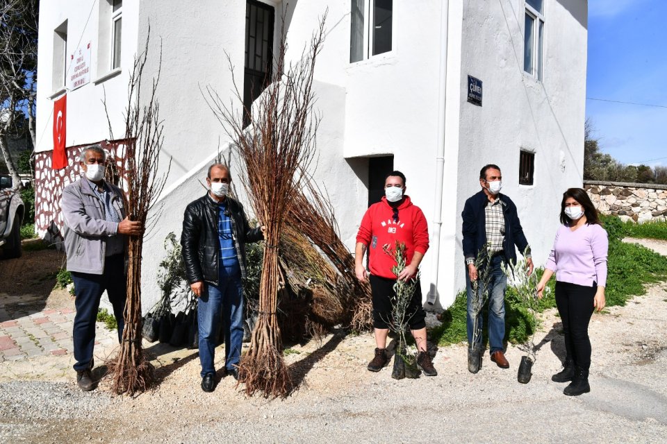 İzmir Büyükşehir Belediyesi tarımsal üretimi teşvik amacıyla üreticilere fidan dağıtımını