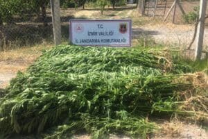 İzmir'in 11 il&ccedil;esinde jandarma ekiplerince narkotik k&ouml;pekleri ve drone destekli