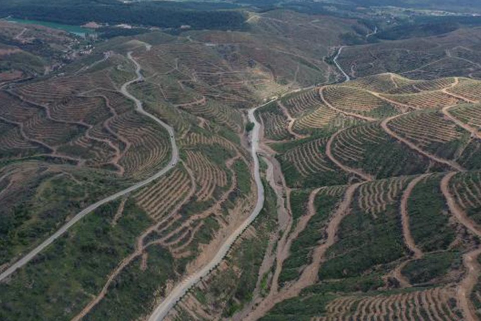 İzmir'in Karabağlar ilçesinde 18 Ağustos 2019'da çıkan ve 53 saatte