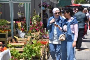 İzmir'de 23'&uuml;nc&uuml; kez d&uuml;zenlenen 'Bayındır &Ccedil;i&ccedil;ek Festivali' başladı. Rengarenk &ccedil;i&ccedil;eklerin