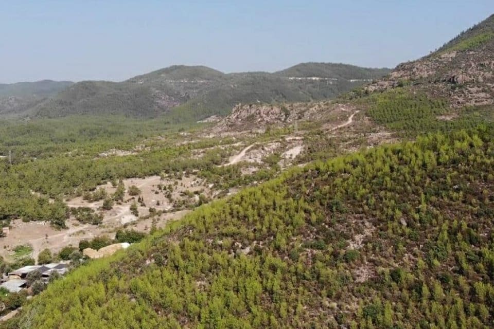 İZMİR'in Menderes il&ccedil;esindeki 5 yıl &ouml;nce &ccedil;ıkan 12 bin hektar