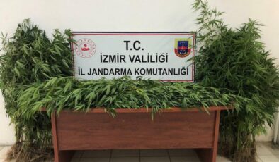 İzmir'de 7 ilçeye uyuşturucu operasyonu!