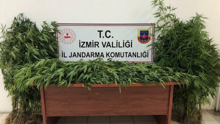 İzmir'de 7 ilçeye uyuşturucu operasyonu!