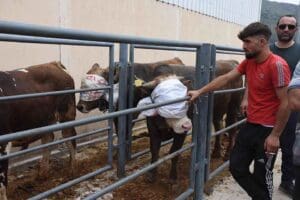 İZMİR'de Kurban Bayramı'nın ilk g&uuml;n&uuml;nde kurben kesim yerlerinde yoğunluk yaşandı.